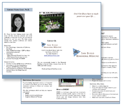 brochure
